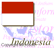 Indonesian's Flag